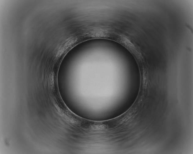 X0000103460202200809121611
