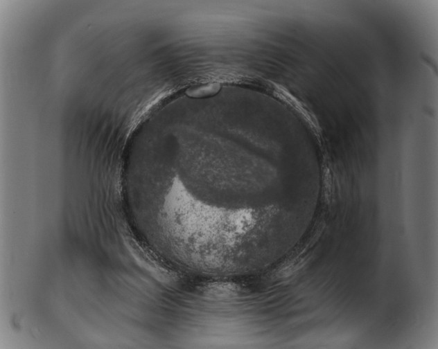 X0000103460203200809121611