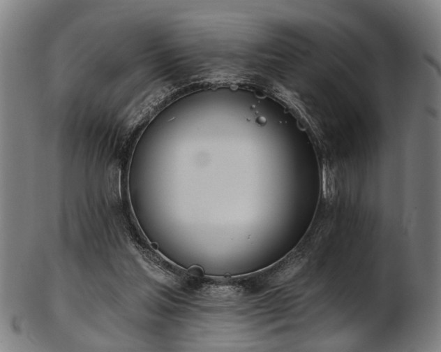 X0000103460205200809121611