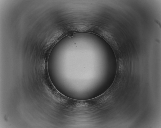 X0000103460206200809121611