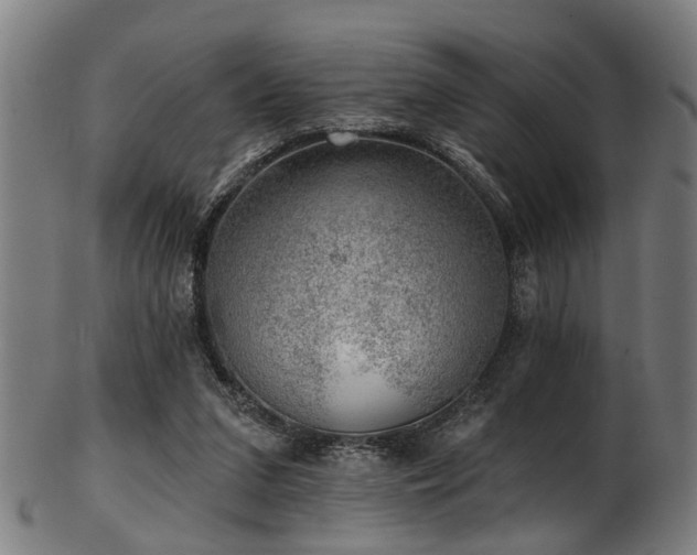 X0000103460207200809121611