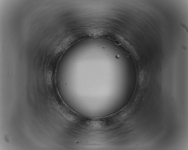 X0000103460209200809121611