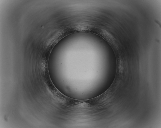 X0000103460210200809121611