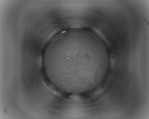 X0000103460211200809121611