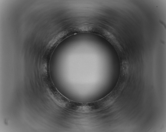 X0000103460212200809121611