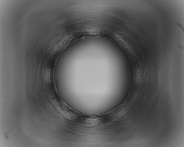 X0000103460213200809121611