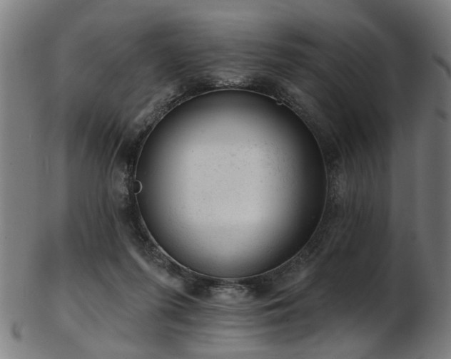X0000103460215200809121611