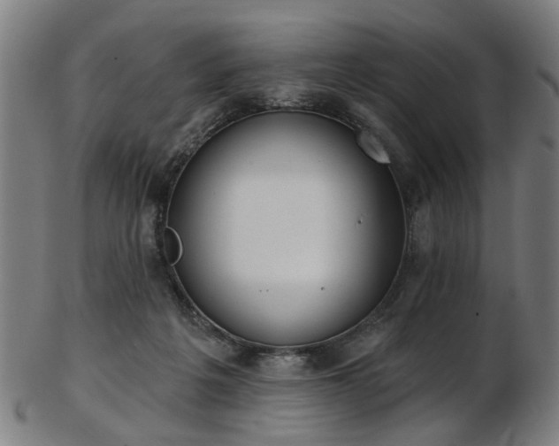 X0000103460217200809121611