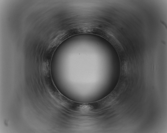 X0000103460218200809121611