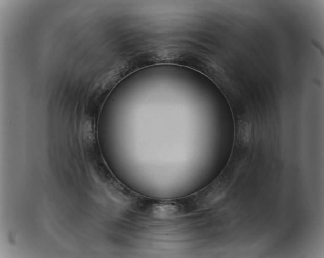 X0000103460220200809121611