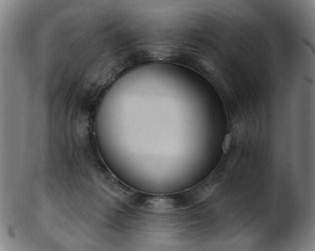 X0000103460221200809121611