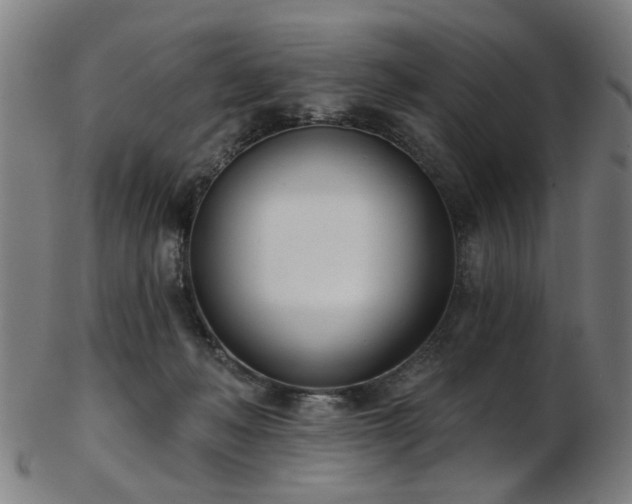 X0000103460222200809121611