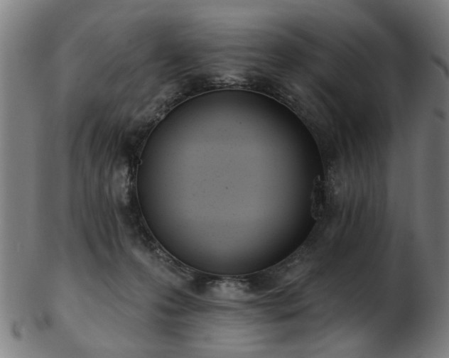 X0000103460223200809121611