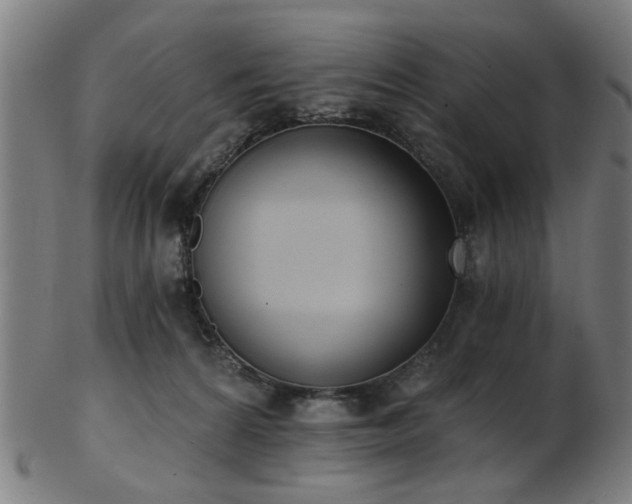 X0000103460224200809121611