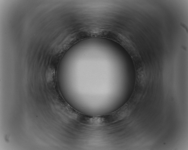 X0000103460225200809121611