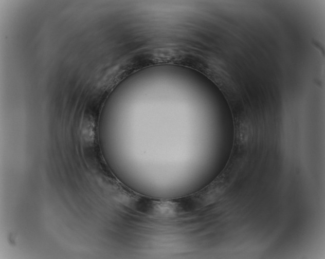 X0000103460226200809121611