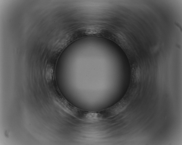 X0000103460227200809121611