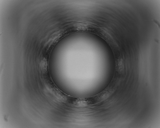 X0000103460228200809121611