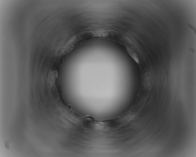 X0000103460229200809121611