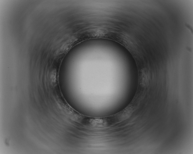 X0000103460230200809121611