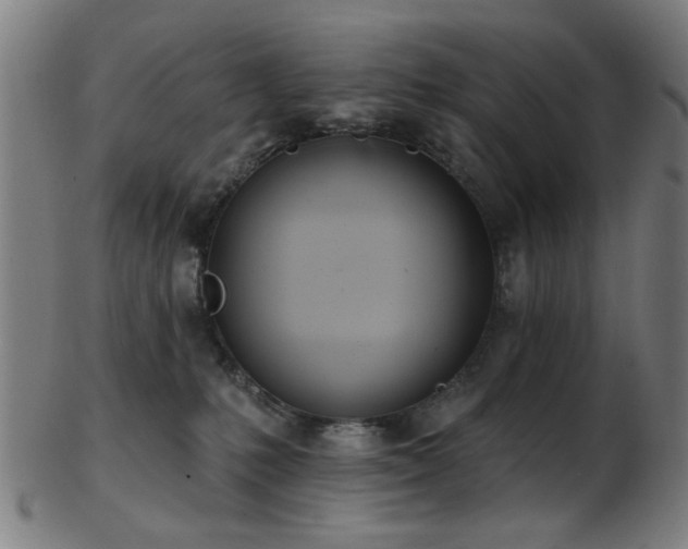 X0000103460231200809121611