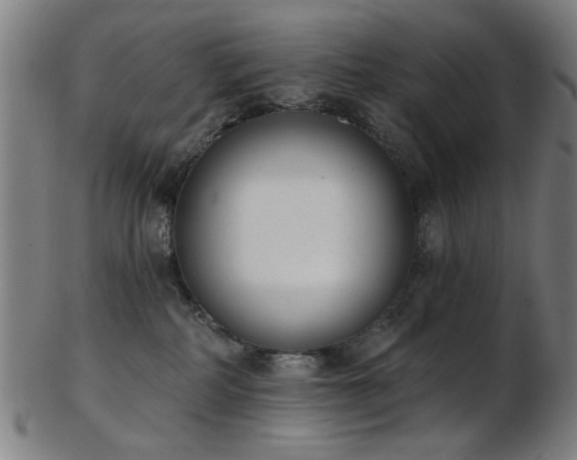 X0000103460234200809121611