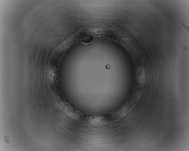 X0000103460235200809121611