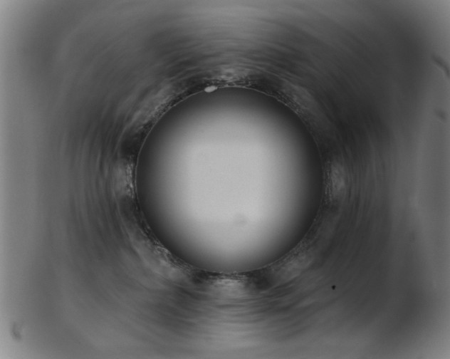 X0000103460236200809121611