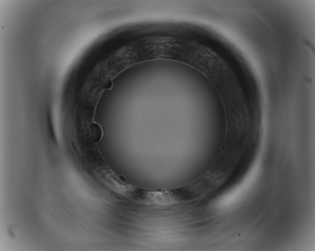 X0000103460239200809121610