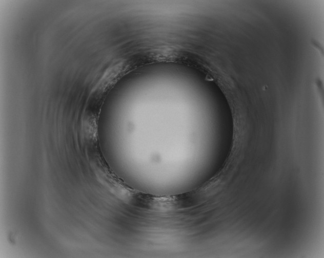 X0000103460240200809121610
