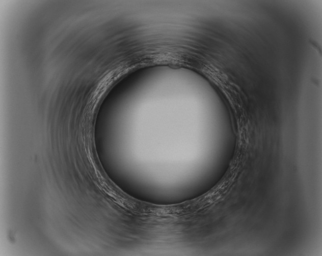 X0000103460241200809121610