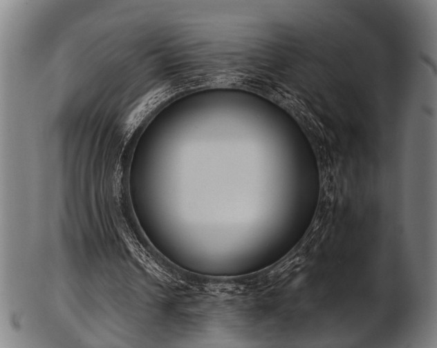 X0000103460242200809121610