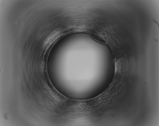 X0000103460243200809121610