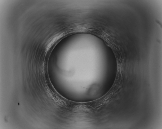 X0000103460244200809121610
