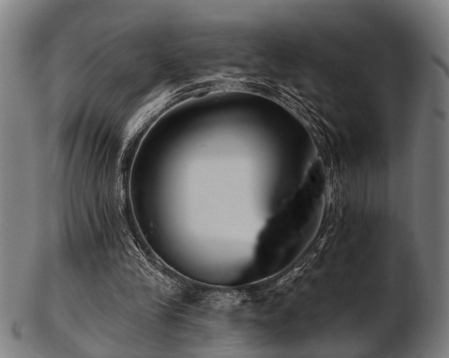 X0000103460245200809121610