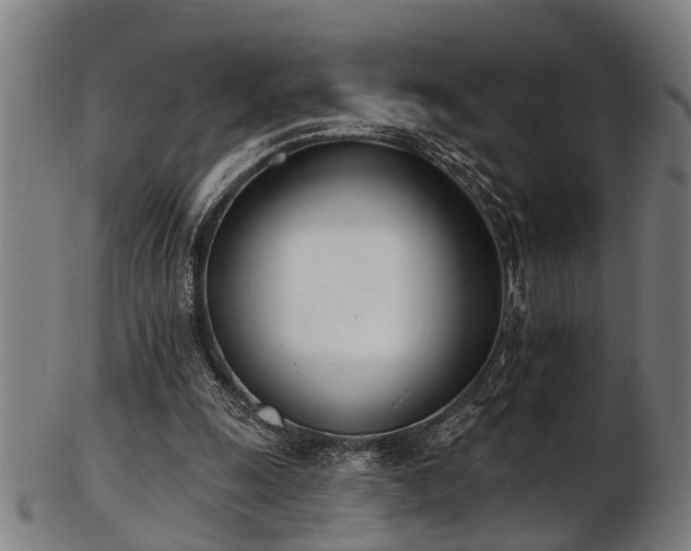 X0000103460247200809121610
