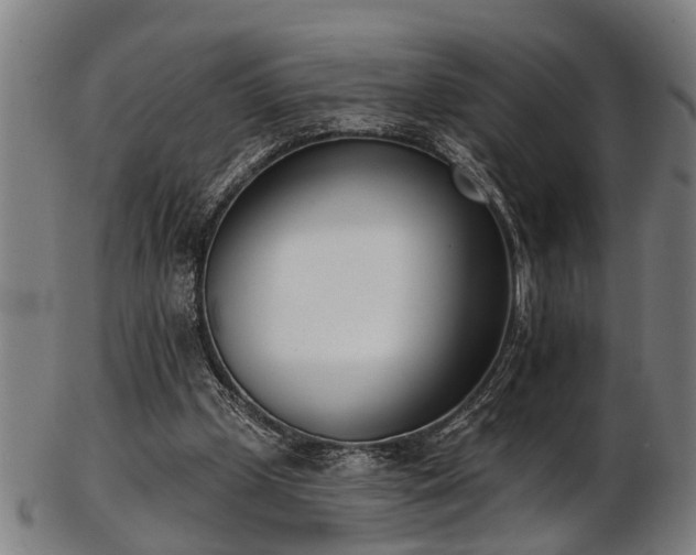 X0000103460249200809121610