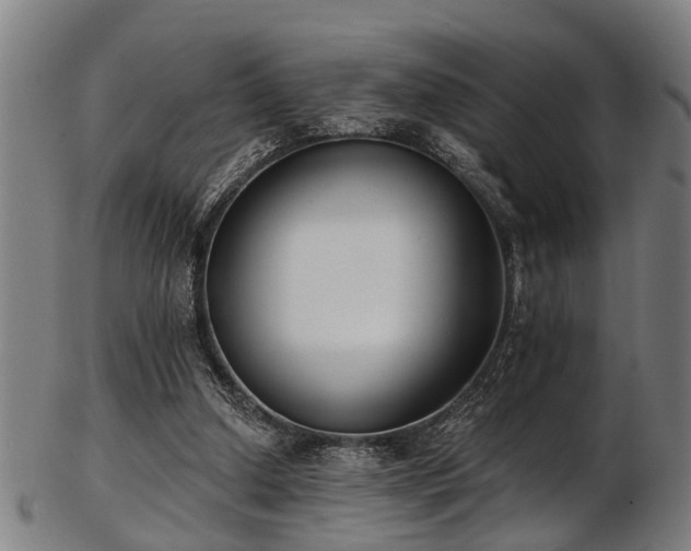 X0000103460250200809121610