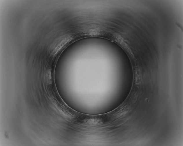 X0000103460251200809121610
