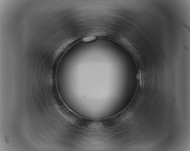 X0000103460252200809121610