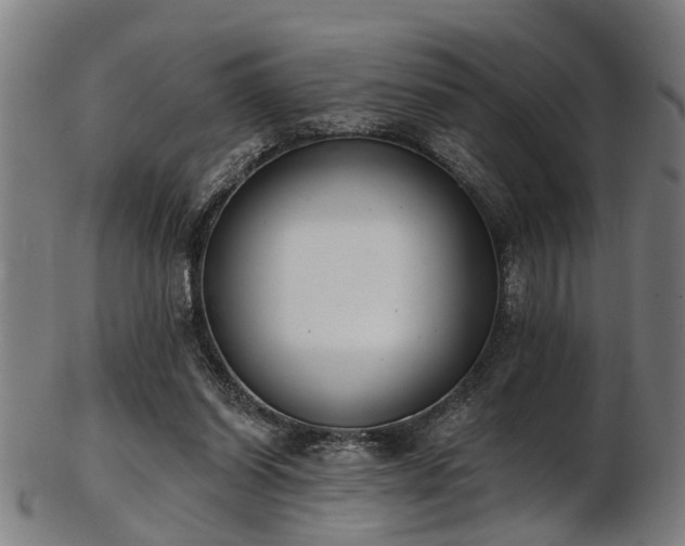 X0000103460254200809121610