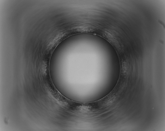 X0000103460255200809121610