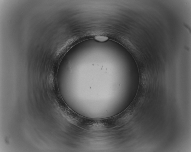 X0000103460256200809121610
