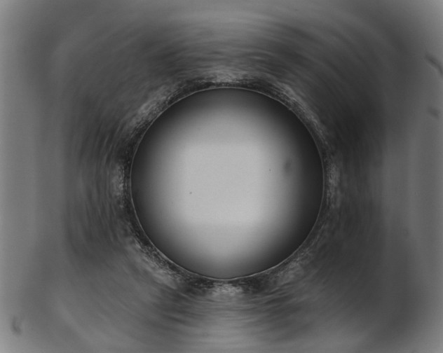 X0000103460257200809121610