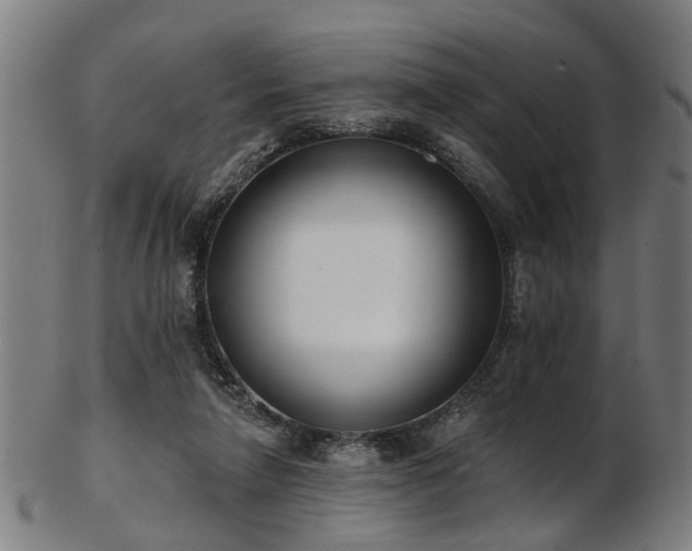X0000103460258200809121610