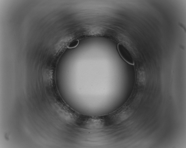X0000103460260200809121610