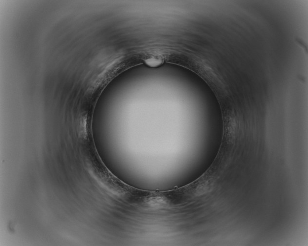 X0000103460262200809121610