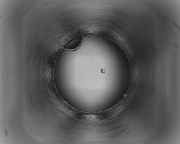 X0000103460265200809121610