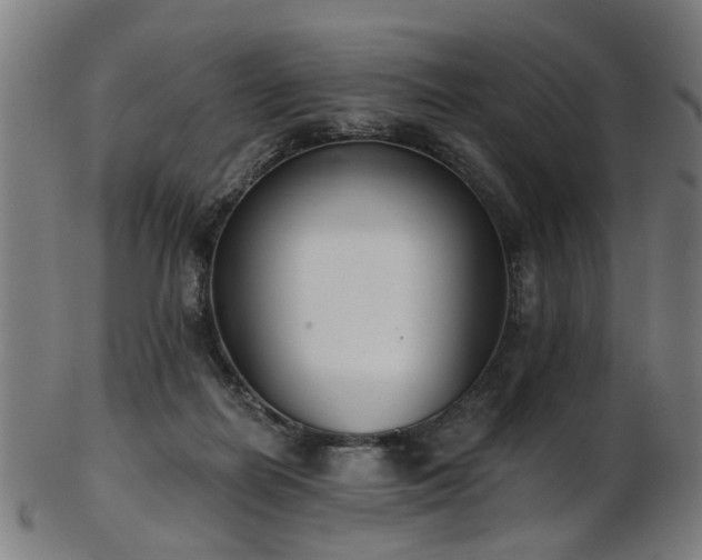 X0000103460266200809121610