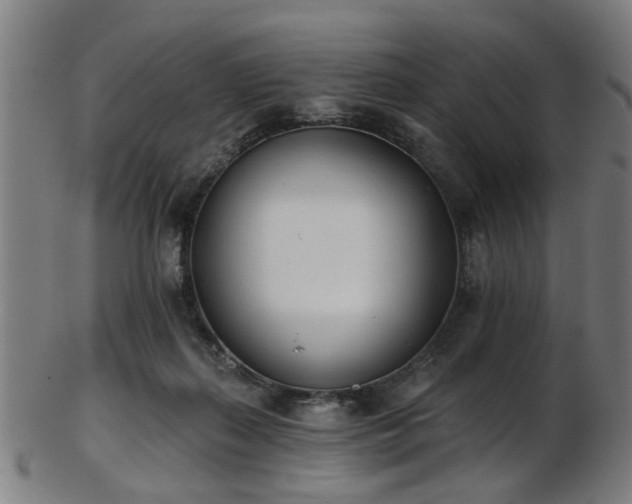 X0000103460267200809121610